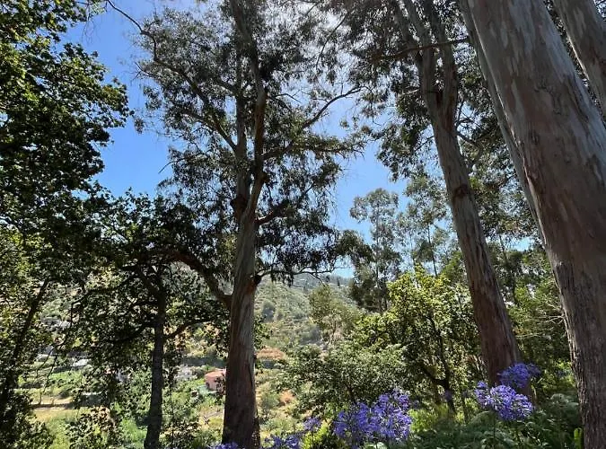 Apartment Penthouse Canico Mar