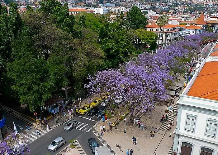 Apartment Penthouse Canico Mar