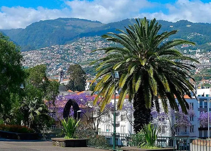 Penthouse Canico Mar