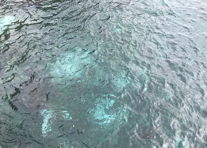 Penthouse Canico Mar *