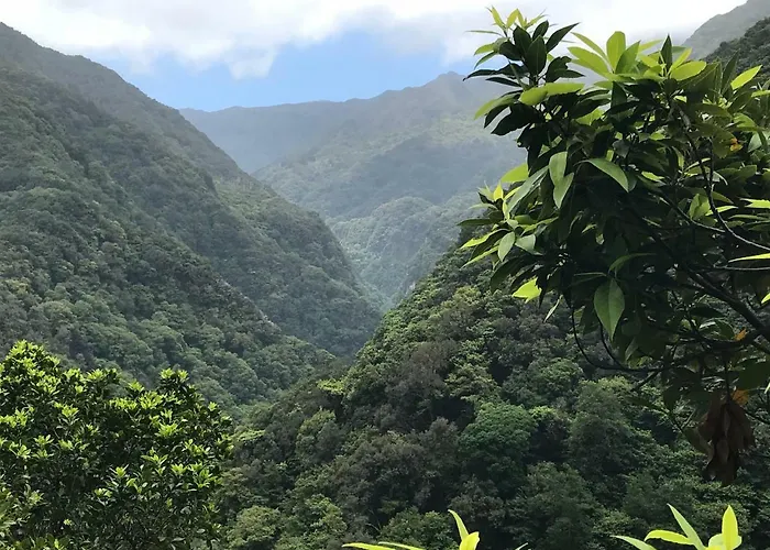 Apartment Penthouse Canico Mar Canico (Madeira)