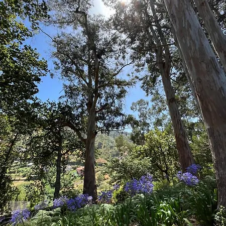 דירה Penthouse Mar