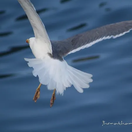 Penthouse Mar דירה *
