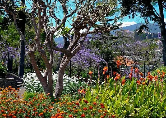 Lägenhet Penthouse Canico Mar